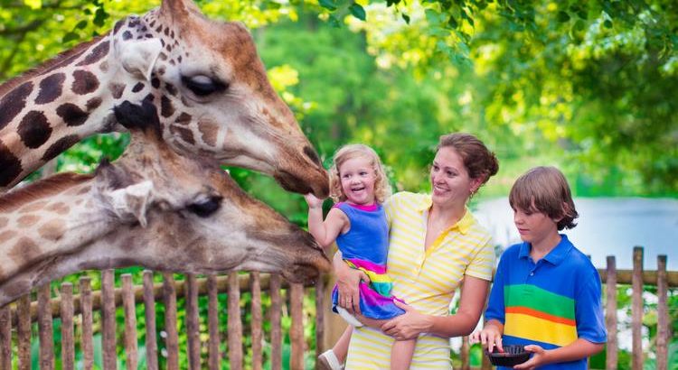 Singapore Zoo