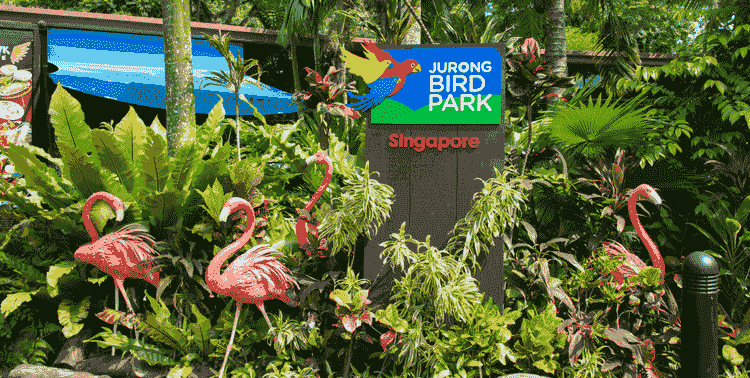 Jurong Bird Park