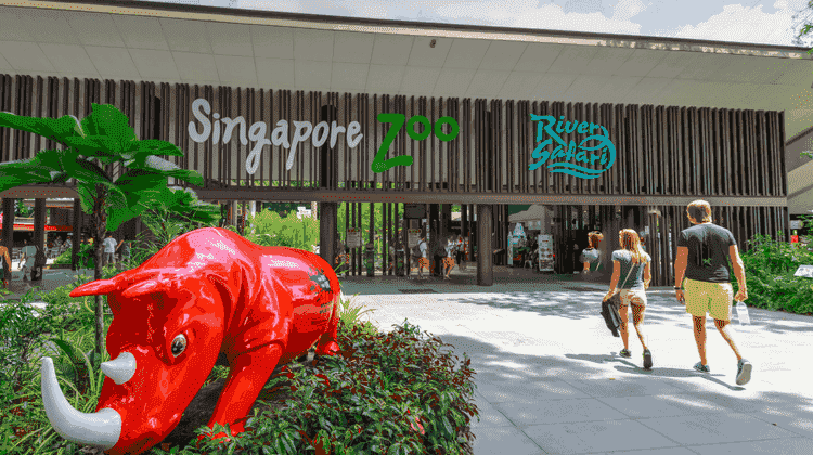 Singapore Zoo