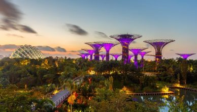 Singapore Visa for Saudi Arabia Passport Holder