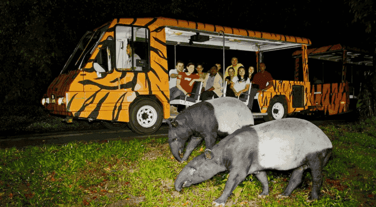 Night Safari in Singapore