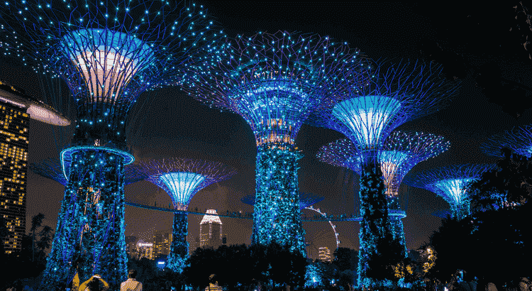Gardens by the Bay