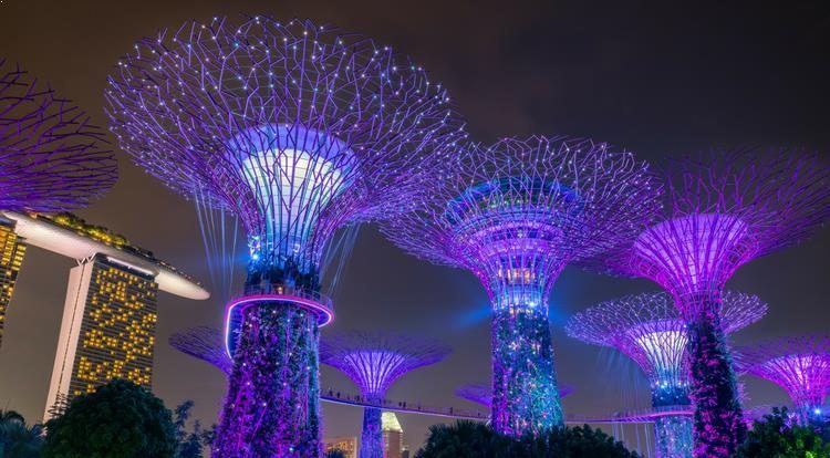 Gardens by the Bay