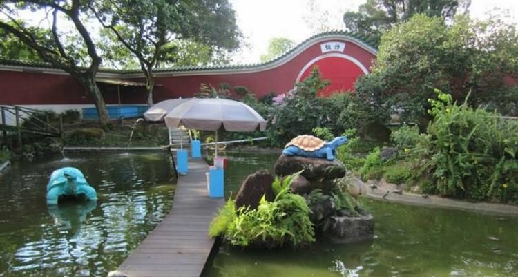 Turtle and Tortoise Museum