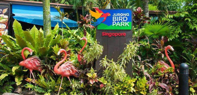 Jurong Bird Park