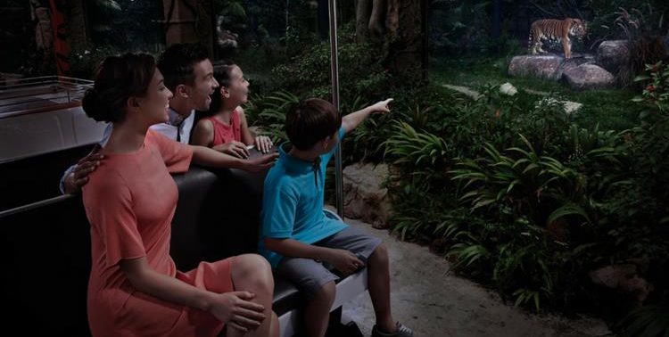 Night Safari