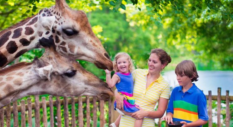 Singapore Zoo