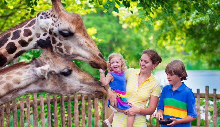 Singapore Zoo