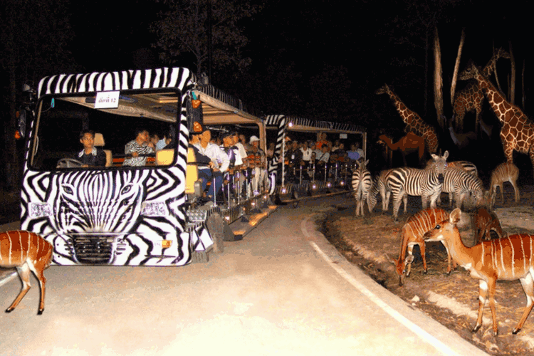 Night Safari Adventures 6 Reasons why it is a Good Idea to visit Singapore during off season