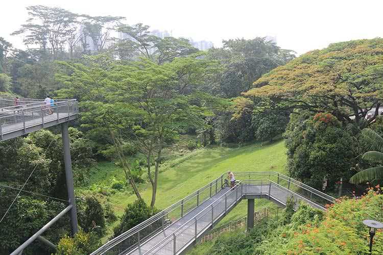 Rainforest Southern Singapore 6 Reasons why it is a Good Idea to visit Singapore during off season