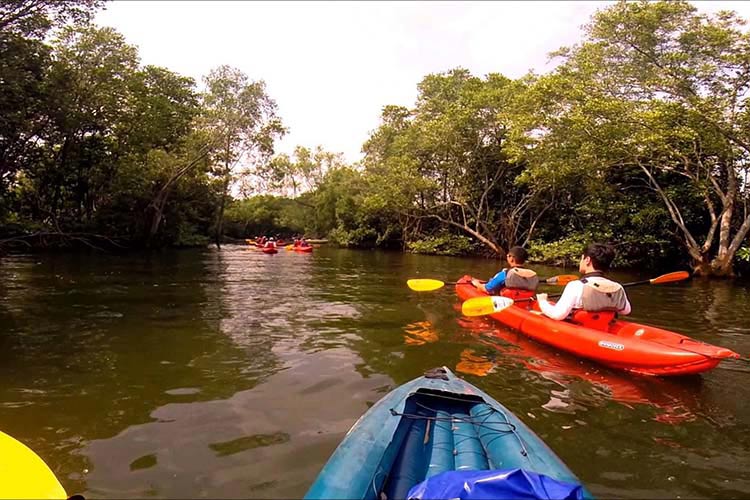 Kayaking at Khatib Bongsu Singapore Holiday Diaries: Things to do in North Singapore