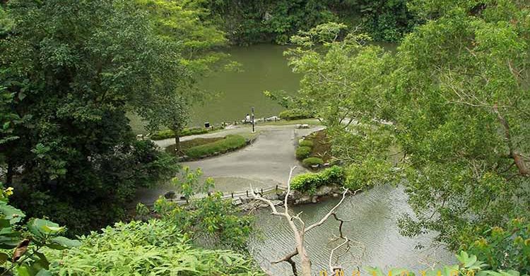 Bukit Batok Nature Park, Singapore