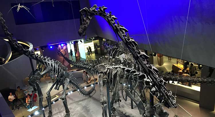 museum in singapore