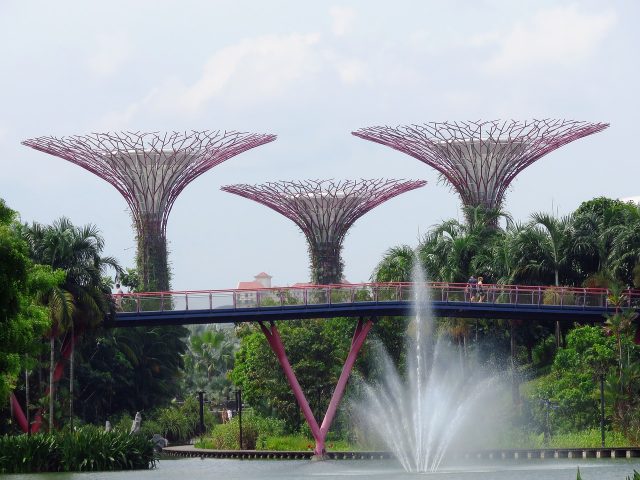 Explore Gardens by the Bay