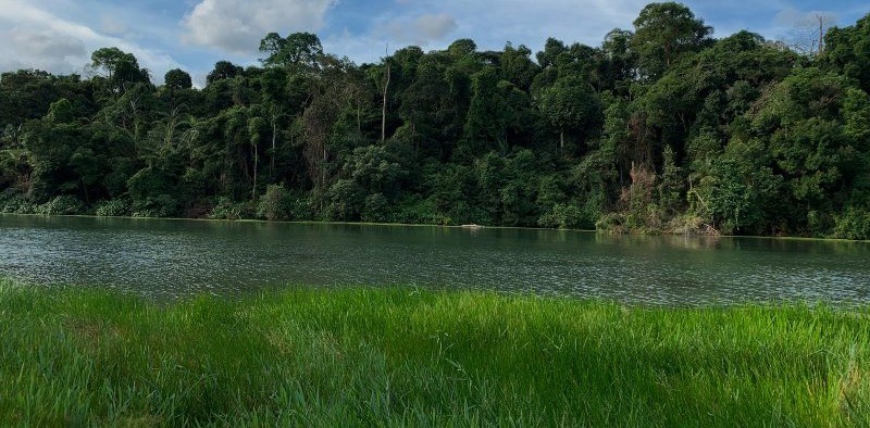 Bukit Timah Nature Reserve
