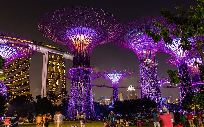 Check out Gardens by the Bay