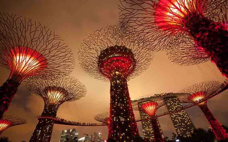 Night View of The Gardens by the Bay, singapore