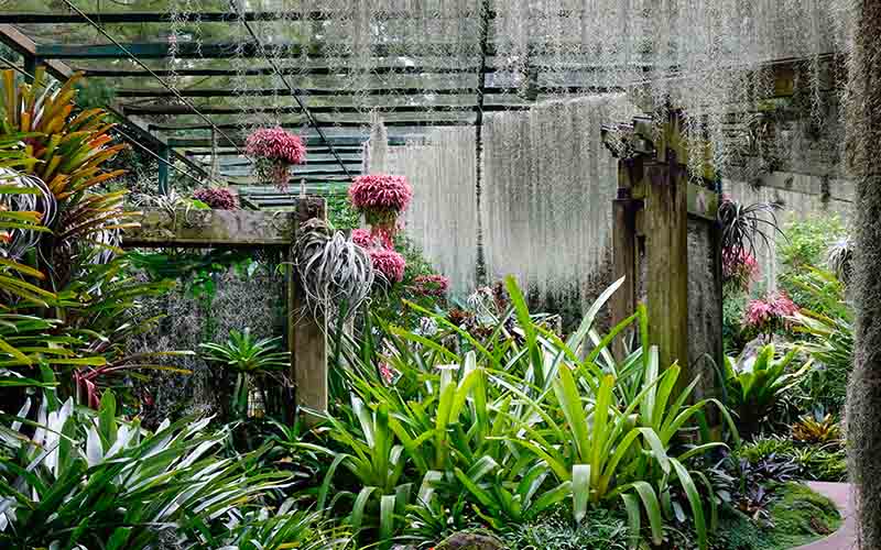Mandai Wildlife Reserve and Singapore Botanic Gardens
