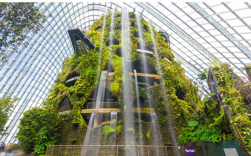 Cloud Forest in Garden by the bay