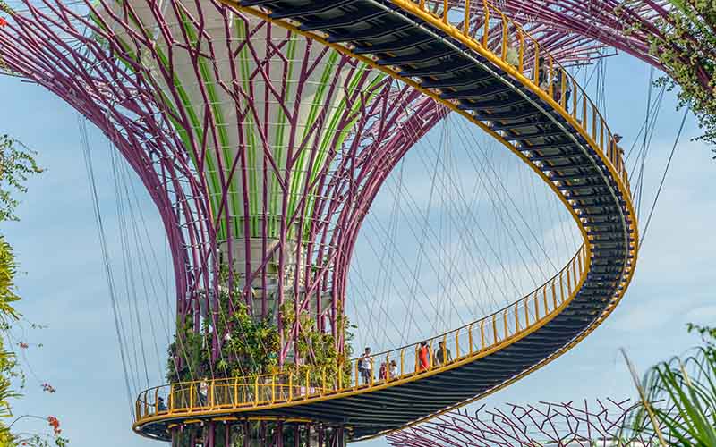  Supertrees on OCBC Skyway