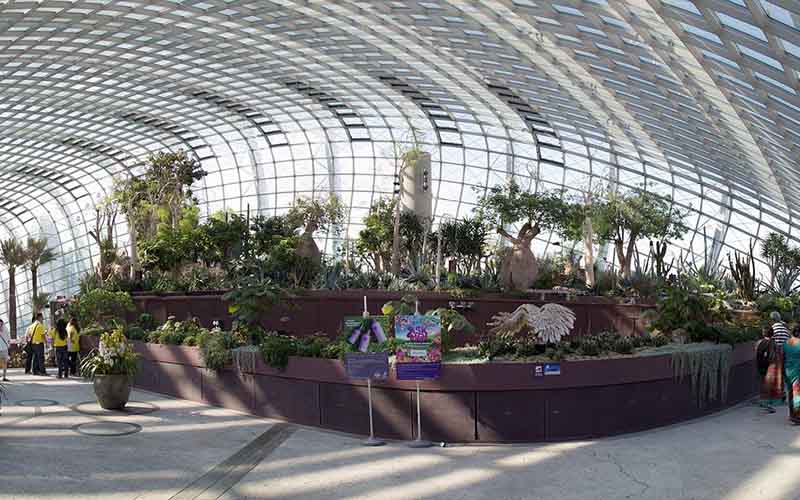 Visit Flower Dome, Garden by the bay