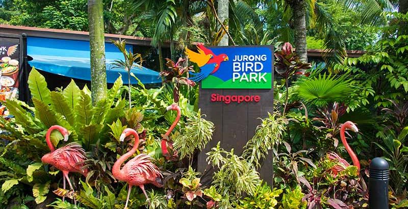 Jurong Bird Park Singapore