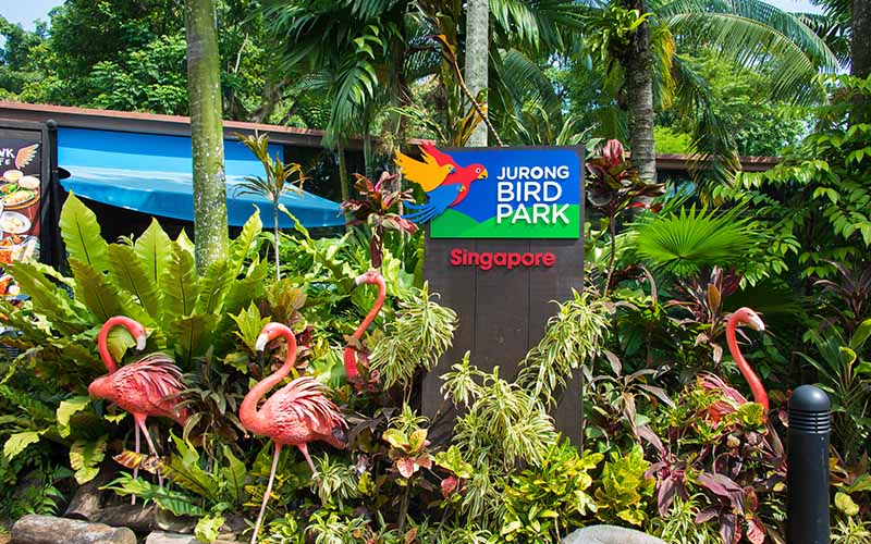 Jurong Bird Park Singapore