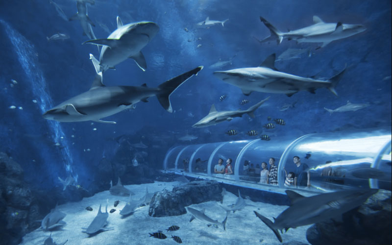 SEA Aquarium