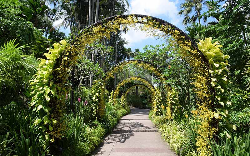 singapore botanic Several Small Gardens