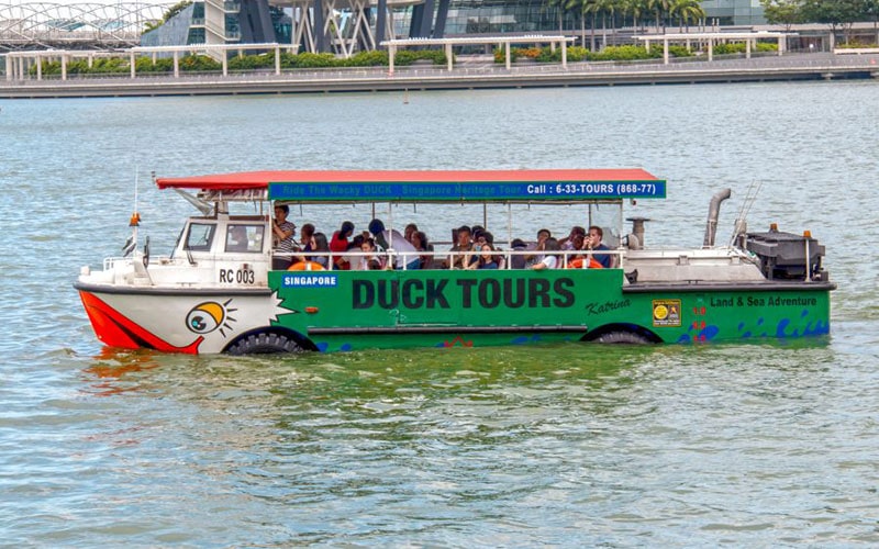 duck tour singapore in chinese