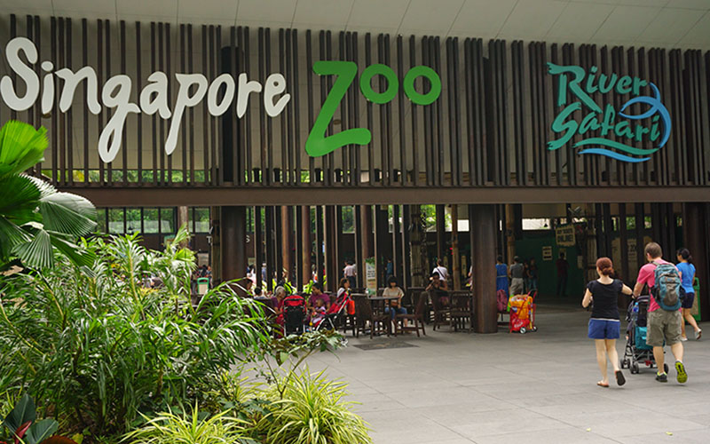 Singapore Zoo