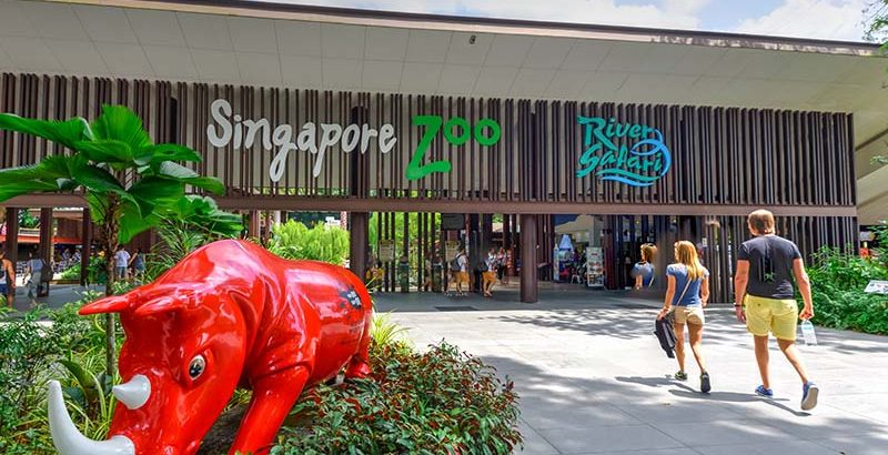 Visitors entering in singapore zoo