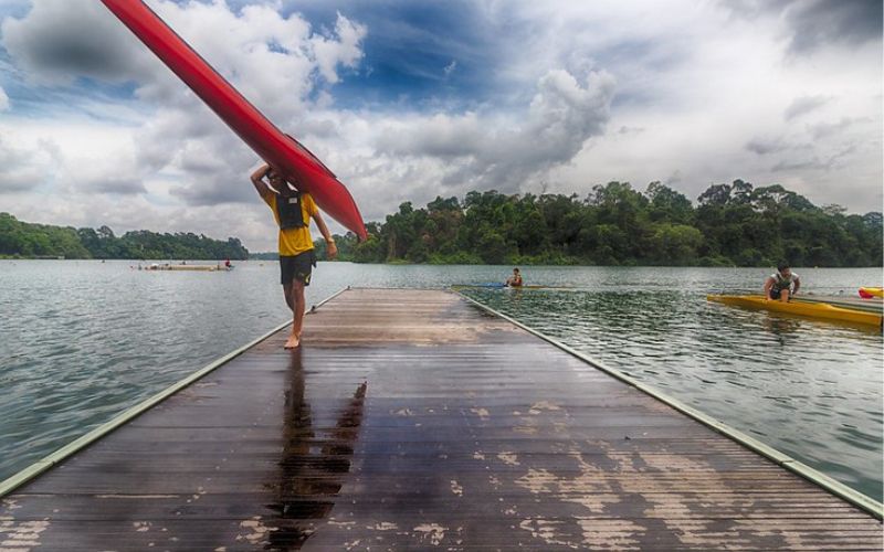 Kayak through the Mangroves