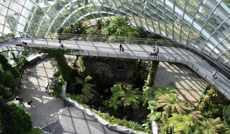 Singapore Botanic garden