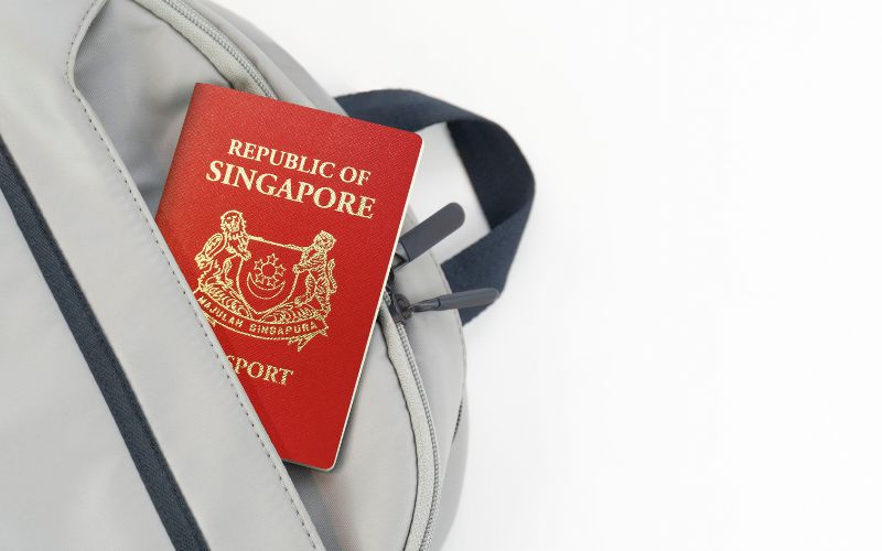 long term visit pass singapore change address