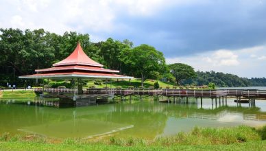 MacRitchie Reservoir in Singapore