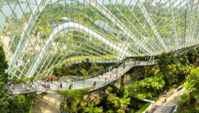 Cloud Forest at Gardens by the Bay in Singapore, featuring people exploring lush greenery, a tall indoor waterfall, and misty walkways