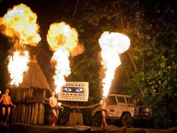 Night safari show singapore