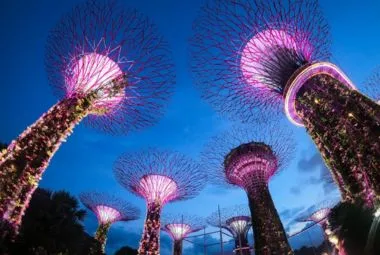 Supertree Grove light show at Gardens by Bay